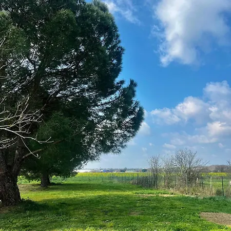 Cosy - Proche Meett 300m Apartment *