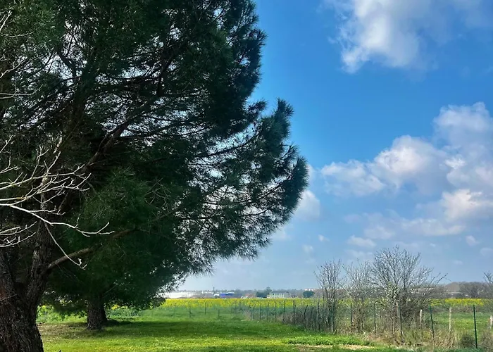 Cosy - Proche Meett 300m Apartment *